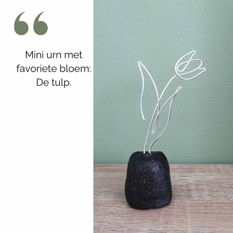 Urn Tulp